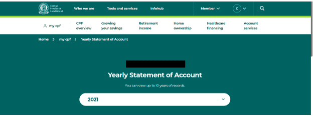 yearly statement of accounts