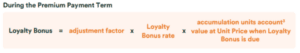 During Premium Payment Terms Formula
